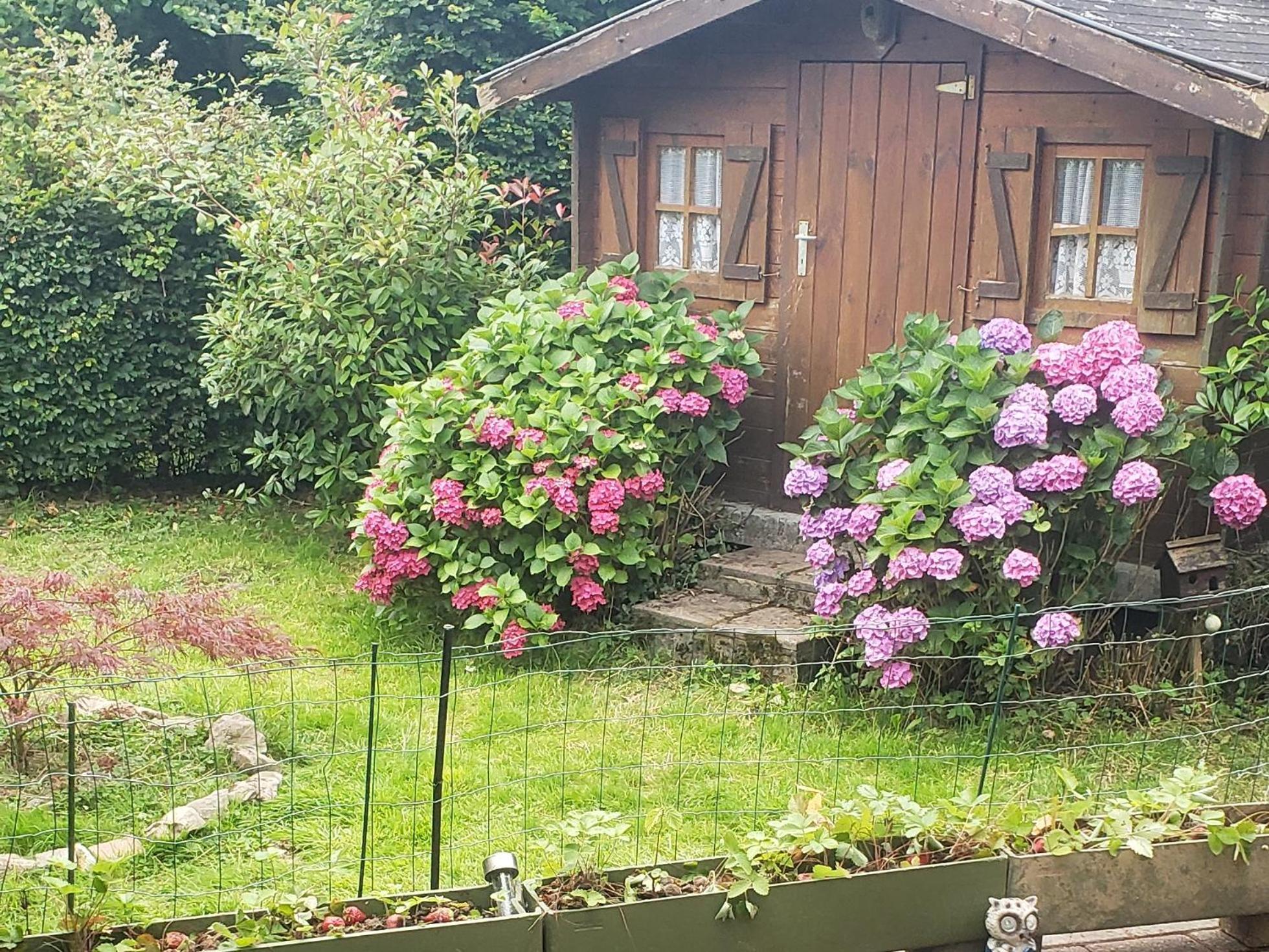 Campsite 176 Grande Promotion Durbuy